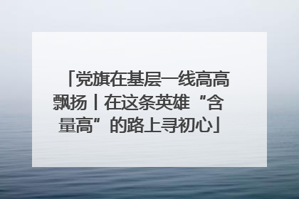 党旗在基层一线高高飘扬丨在这条英雄“含量高”的路上寻初心