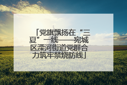 党旗飘扬在“三夏”一线——宛城区溧河街道党群合力筑牢禁烧防线