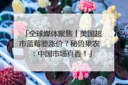 全球媒体聚焦丨美国超市蓝莓要涨价？秘鲁果农：中国市场真香！