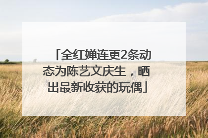 全红婵连更2条动态为陈艺文庆生，晒出最新收获的玩偶
