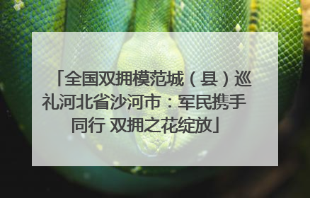 全国双拥模范城（县）巡礼河北省沙河市：军民携手同行 双拥之花绽放