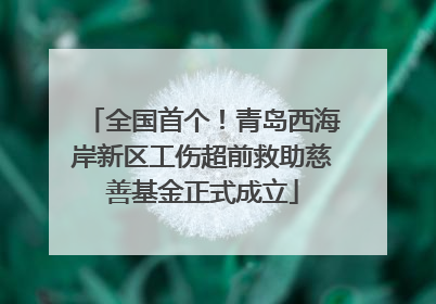 全国首个！青岛西海岸新区工伤超前救助慈善基金正式成立