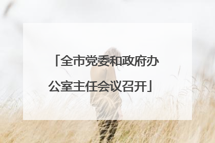 全市党委和政府办公室主任会议召开