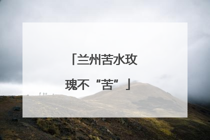 兰州苦水玫瑰不“苦”