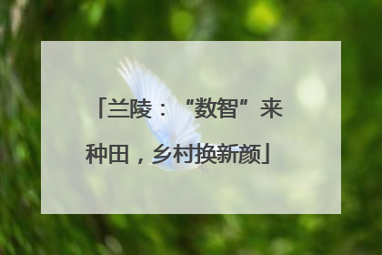 兰陵：“数智”来种田，乡村换新颜