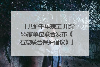 共护千年瑰宝 川渝55家单位联合发布《石窟联合保护倡议》