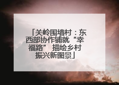 关岭围墙村：东西部协作铺就“幸福路” 描绘乡村振兴新图景