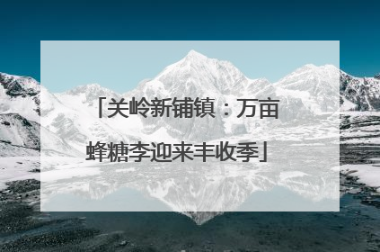 关岭新铺镇：万亩蜂糖李迎来丰收季