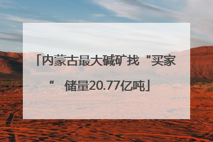 内蒙古最大碱矿找“买家” 储量20.77亿吨