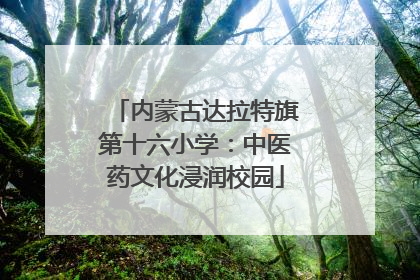 内蒙古达拉特旗第十六小学：中医药文化浸润校园