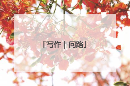 写作｜问路
