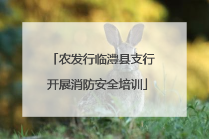 农发行临澧县支行开展消防安全培训