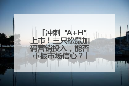 冲刺“A+H”上市！三只松鼠加码营销投入，能否重振市场信心？