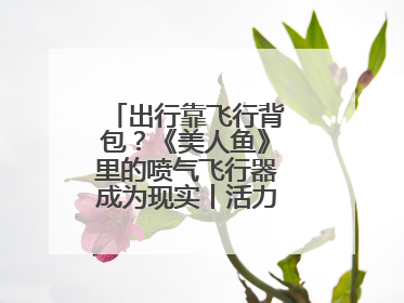 出行靠飞行背包？《美人鱼》里的喷气飞行器成为现实丨活力中国调研行