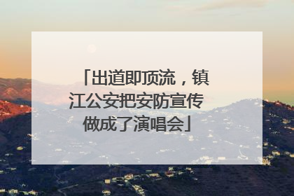 出道即顶流，镇江公安把安防宣传做成了演唱会
