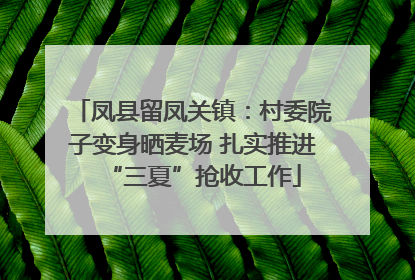 凤县留凤关镇：村委院子变身晒麦场 扎实推进“三夏”抢收工作
