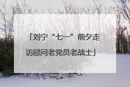 刘宁“七一”前夕走访慰问老党员老战士