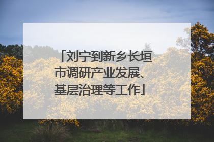 刘宁到新乡长垣市调研产业发展、基层治理等工作