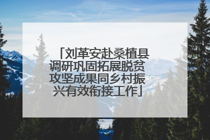 刘革安赴桑植县调研巩固拓展脱贫攻坚成果同乡村振兴有效衔接工作