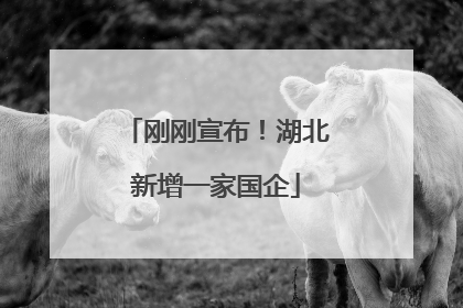 刚刚宣布！湖北新增一家国企