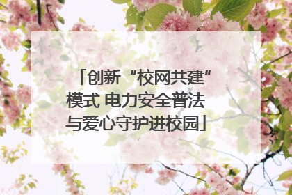 创新“校网共建”模式 电力安全普法与爱心守护进校园