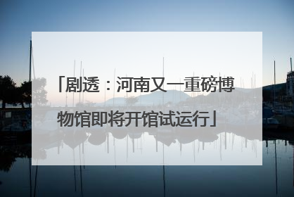 剧透：河南又一重磅博物馆即将开馆试运行
