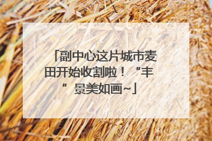 副中心这片城市麦田开始收割啦！“丰”景美如画~