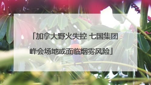 加拿大野火失控 七国集团峰会场地或面临烟雾风险