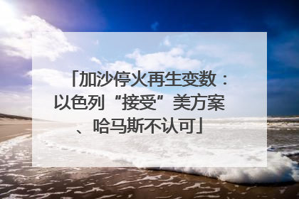 加沙停火再生变数：以色列“接受”美方案、哈马斯不认可