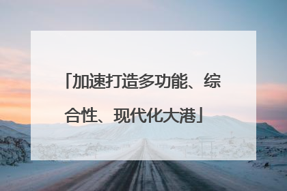 加速打造多功能、综合性、现代化大港