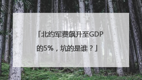 北约军费飙升至GDP的5%，坑的是谁？