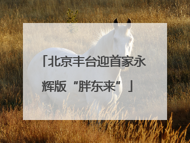 北京丰台迎首家永辉版“胖东来”