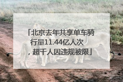 北京去年共享单车骑行量11.44亿人次，超千人因违规被限