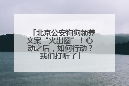 北京公安狗狗领养文案“火出圈”！心动之后，如何行动？我们打听了