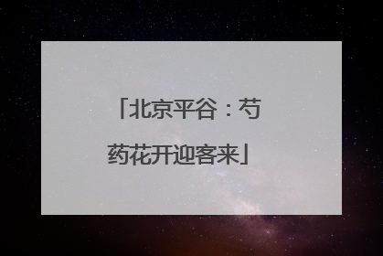 北京平谷：芍药花开迎客来