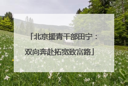 北京援青干部田宁：双向奔赴拓宽致富路
