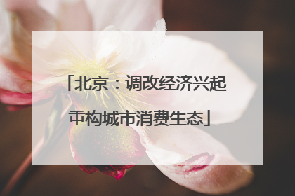 北京：调改经济兴起 重构城市消费生态
