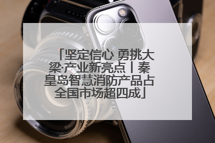 坚定信心 勇挑大梁·产业新亮点丨秦皇岛智慧消防产品占全国市场超四成