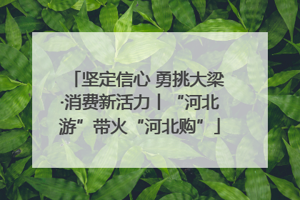 坚定信心 勇挑大梁·消费新活力丨“河北游”带火“河北购”