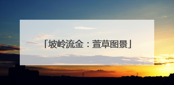 坡岭流金：萱草图景