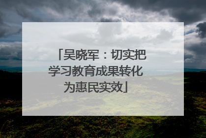 吴晓军：切实把学习教育成果转化为惠民实效