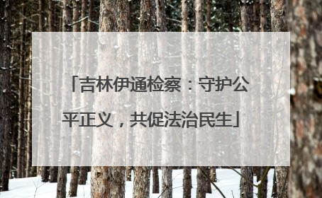 吉林伊通检察：守护公平正义，共促法治民生