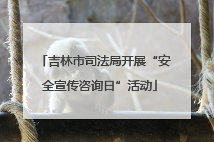吉林市司法局开展“安全宣传咨询日”活动