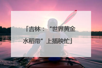 吉林：“世界黄金水稻带”上插秧忙