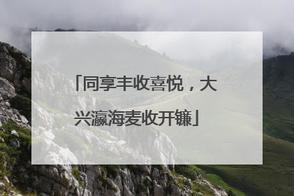 同享丰收喜悦，大兴瀛海麦收开镰