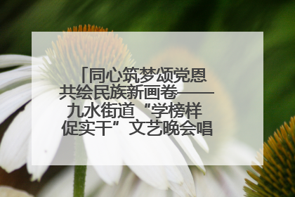 同心筑梦颂党恩 共绘民族新画卷——九水街道“学榜样 促实干”文艺晚会唱响民族团结主旋律