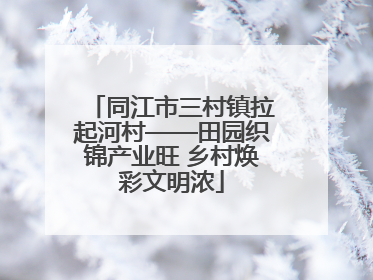 同江市三村镇拉起河村——田园织锦产业旺 乡村焕彩文明浓