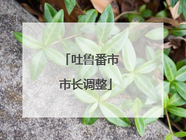 吐鲁番市市长调整