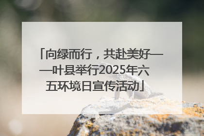 向绿而行，共赴美好——叶县举行2025年六五环境日宣传活动