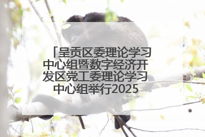 呈贡区委理论学习中心组暨数字经济开发区党工委理论学习中心组举行2025年第七次学习会议